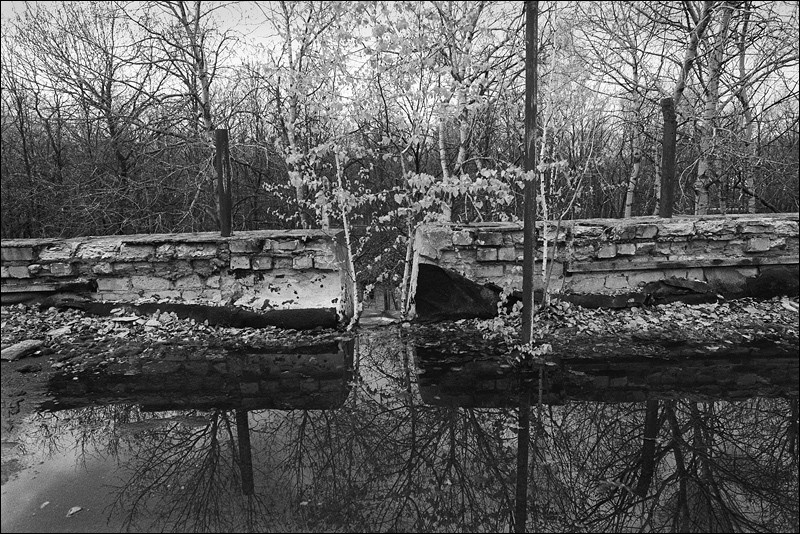 "On a roof of the two-storeyed administrative case in the thrown boarding house", Krivoborie natural boundary, Ramonskoye district, Voronezh region, Russia, May 2011