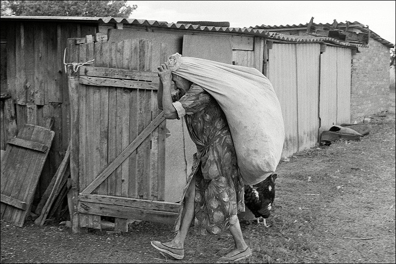 "Hay for cattle", farm of Senshin, village of Oblivskaya district, Rostov-on-Don region, Russia, July 2010