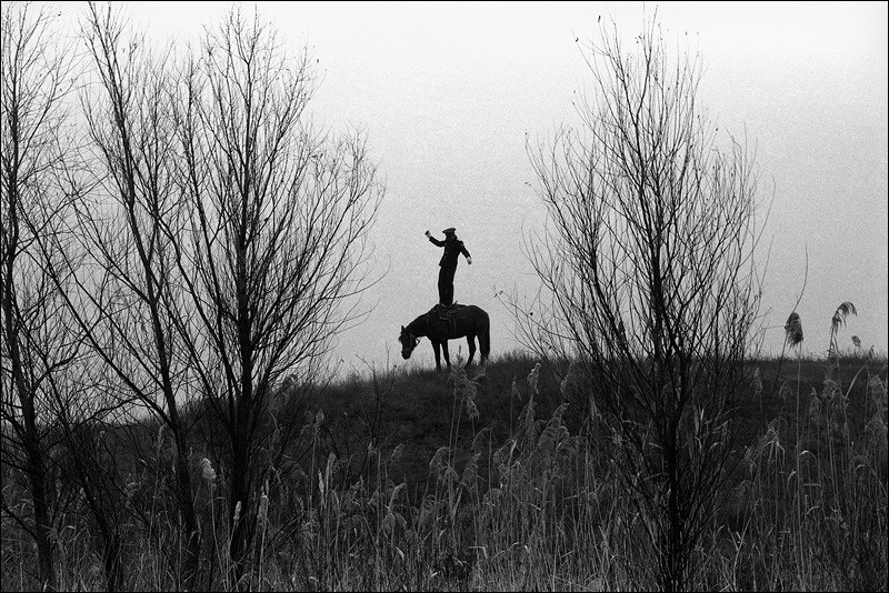 "Cossack Valerka. Standing in all growth in a saddle", farm of Senshin, village of Oblivskaya district, Rostov-on-Don region, Russia, October 2010