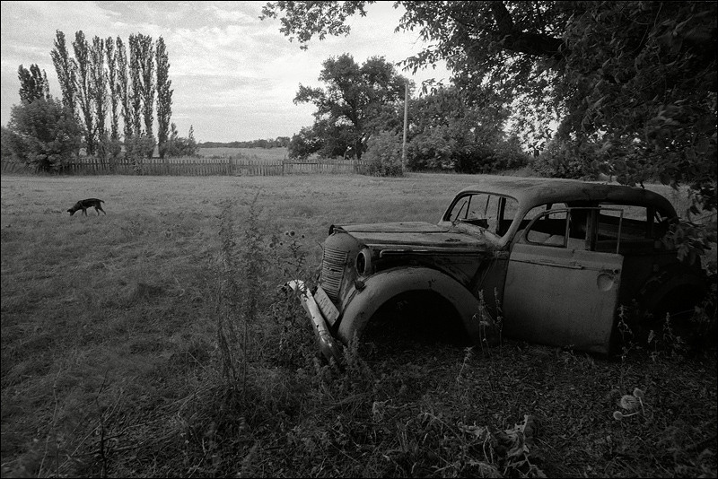 "In the field", farm of Senshin, village of Oblivskaya district, Rostov-on-Don region, Russia, July 2010