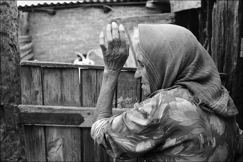 "Near the shelter for house cattle", farm of Senshin, village of Oblivskaya district, Rostov-on-Don region, Russia, July 2010
