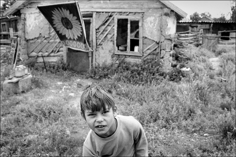 "The sunflower", farm of Senshin, village of Oblivskaya district, Rostov-on-Don region, Russia, July 2010