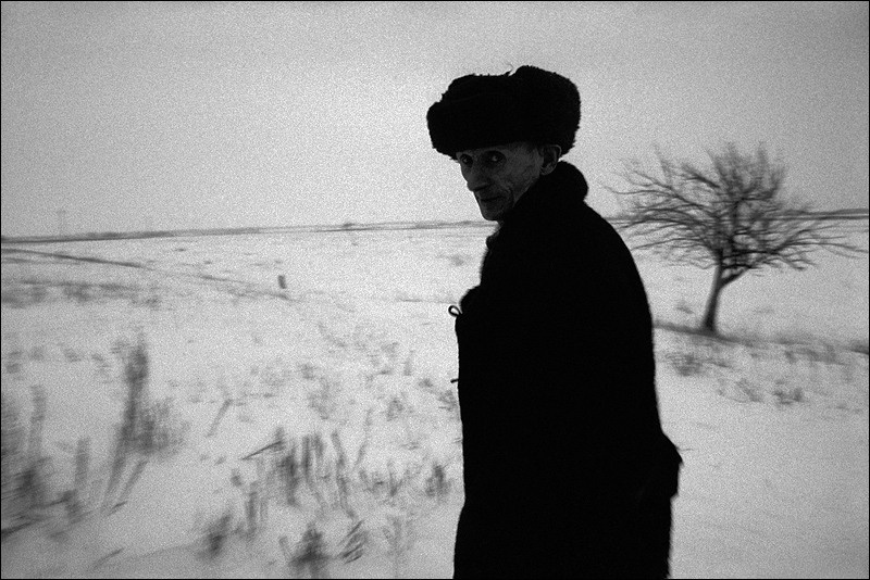 "Yurka-Shut in the snowy steppe", farm of Senshin, village of Oblivskaya district, Rostov-on-Don region, Russia, January 2012