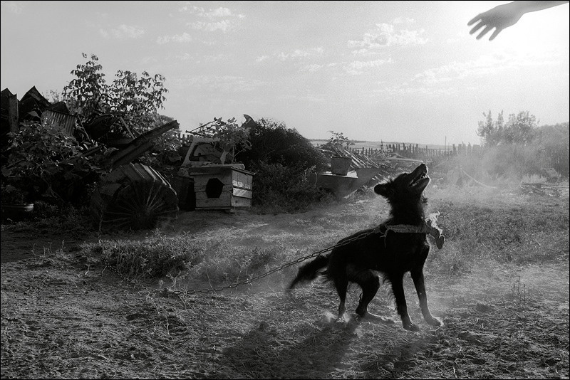 "A hand", farm of Senshin, village of Oblivskaya district, Rostov-on-Don region, Russia, July 2010