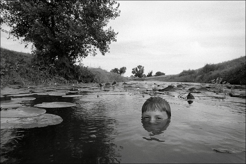 "Shallow waters", near farm of Senshin, village of Oblivskaya district, Rostov-on-Don region, Russia, July 2010