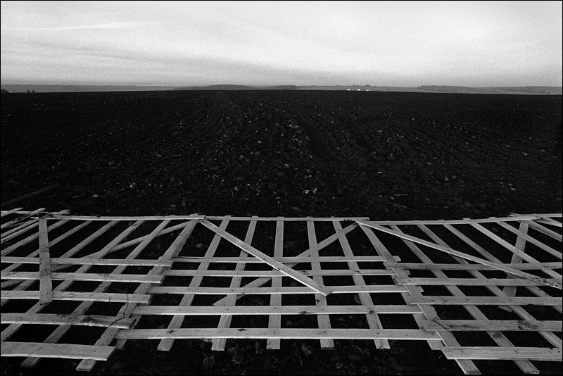 "Installation of a wind-shelter fence on an arable land along the highway", near settlement of Zaoserednye Sady, Pavlovsk district, Voronezh region, Russia, May 2011