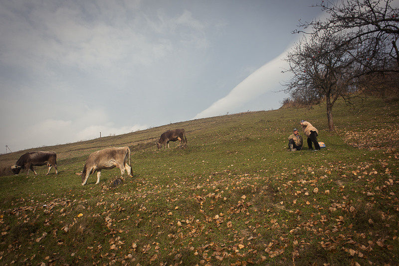 Ukraine. Sinevіr. Головна