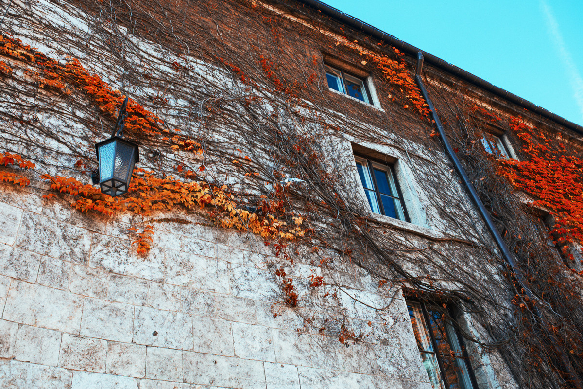 Poland. Krakow. Головна