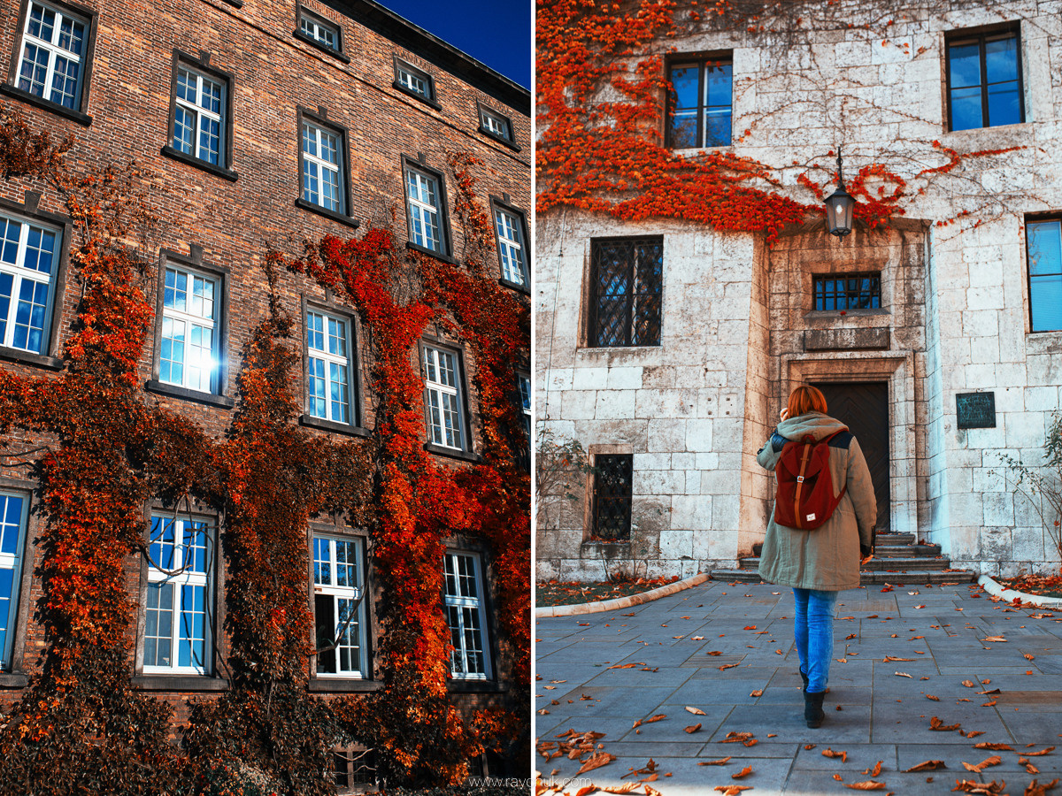 Poland. Krakow. Головна