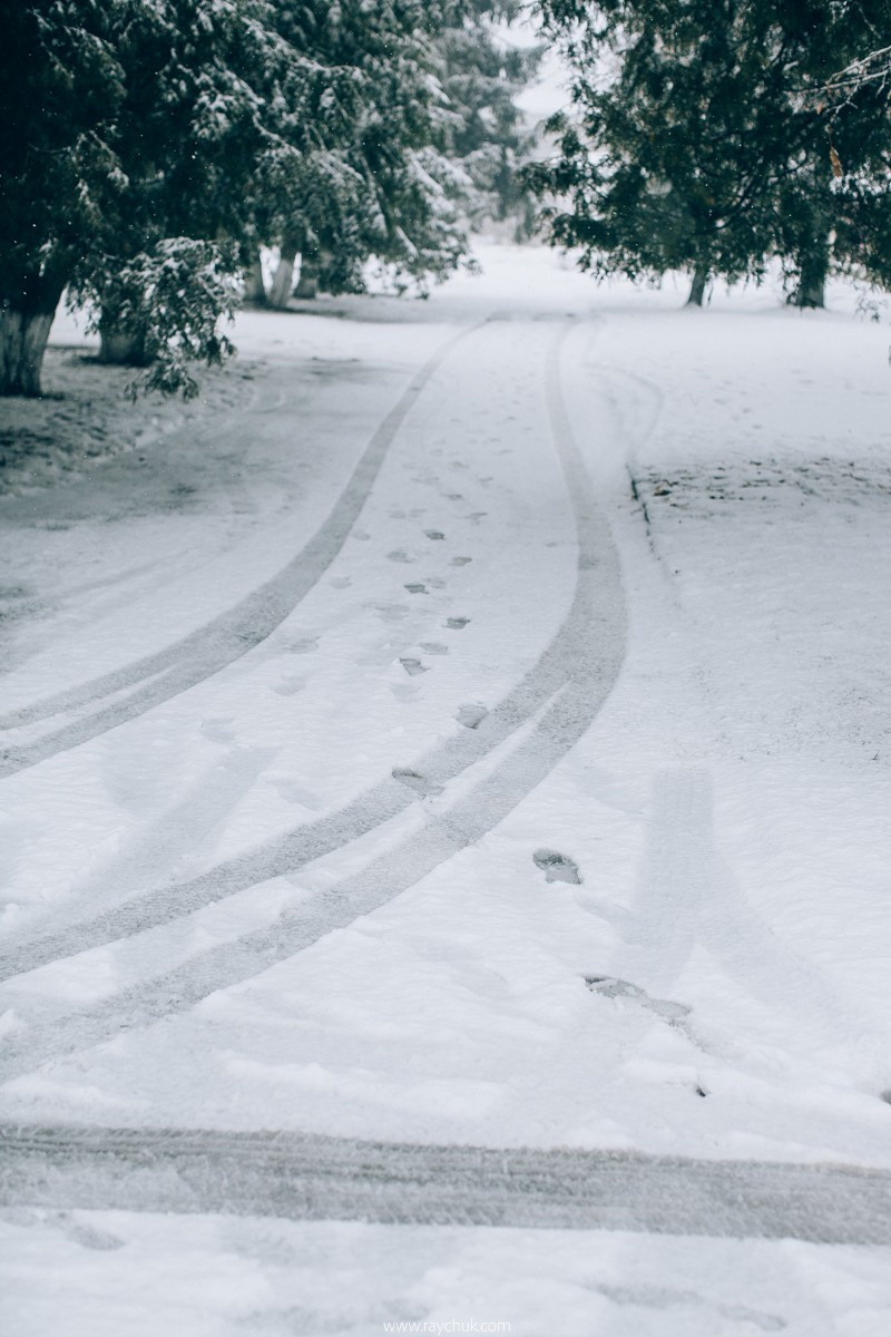 Report №8. Головна