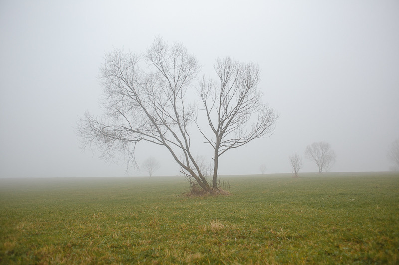 Ukraine. Precarpathian. Головна