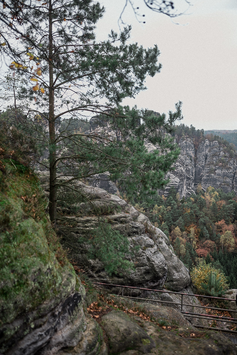 Germany. Lohmen. Головна