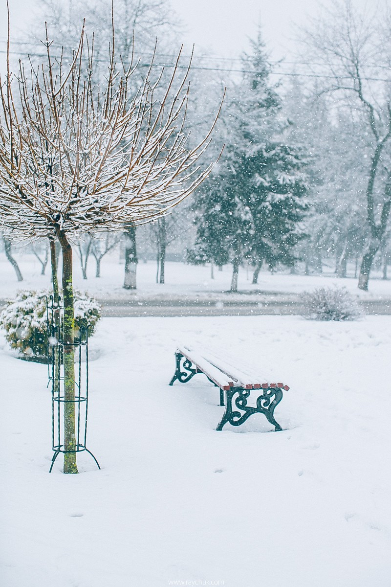 Report №8. Головна