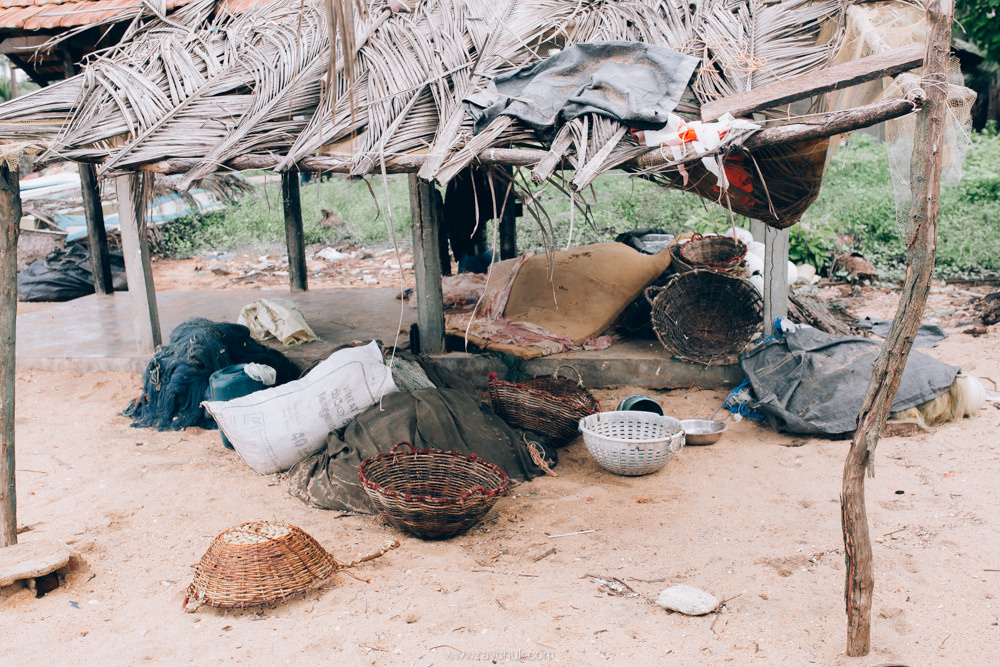Sri Lanka. Головна