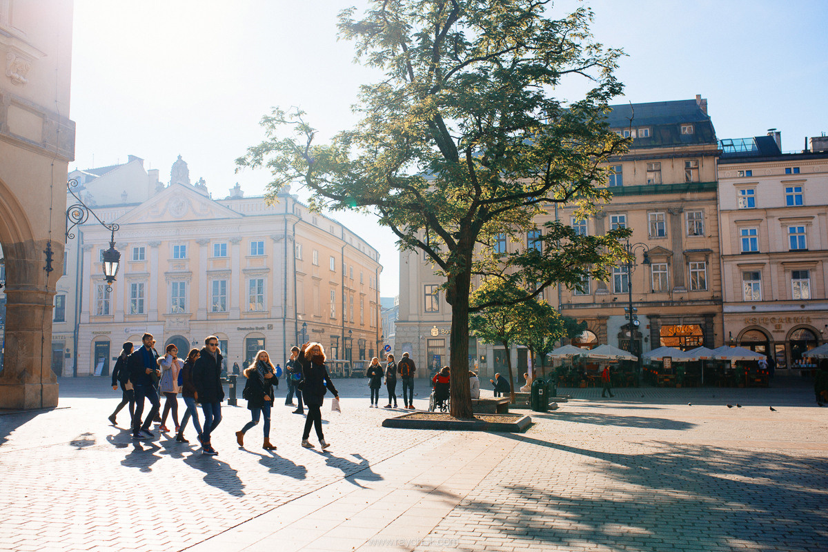 Poland. Krakow. Головна