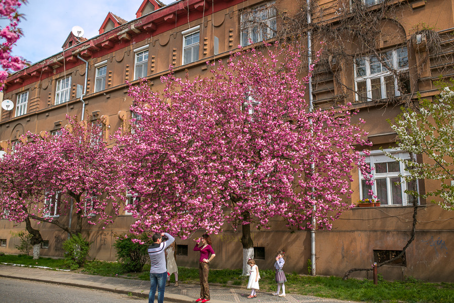 Ukraine. Uzhgorod. Головна