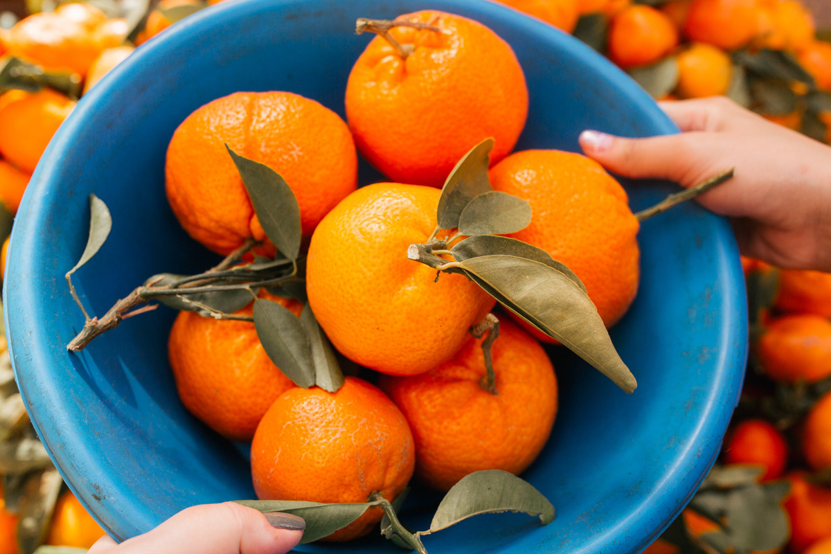 Morocco. Essaouira. Головна