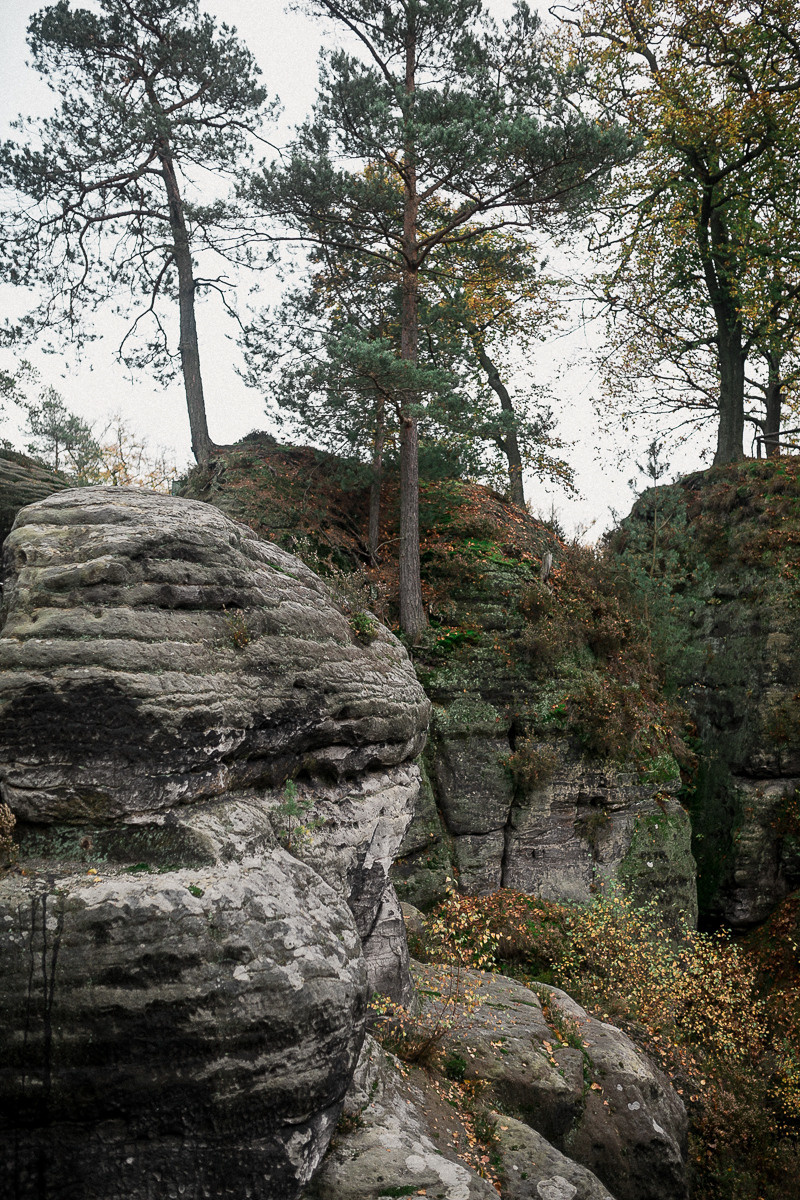 Germany. Lohmen. Головна