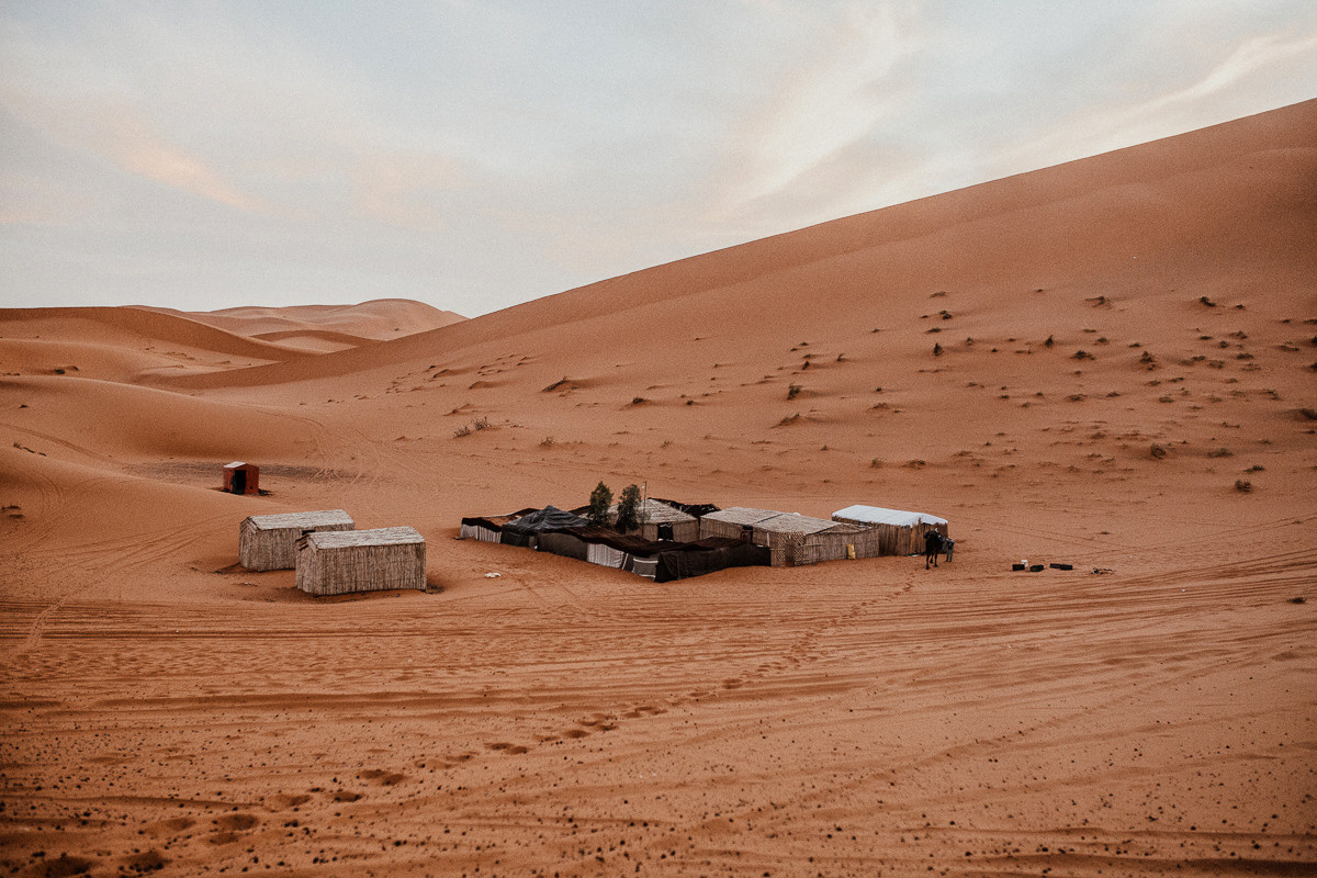 Sahara desert. Головна