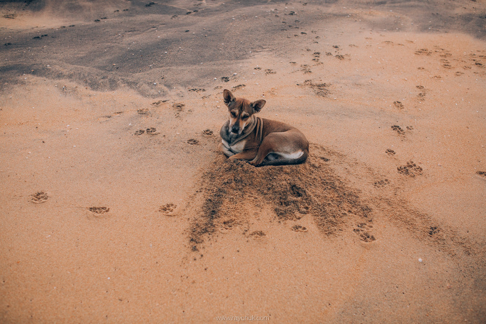 Sri Lanka. Головна