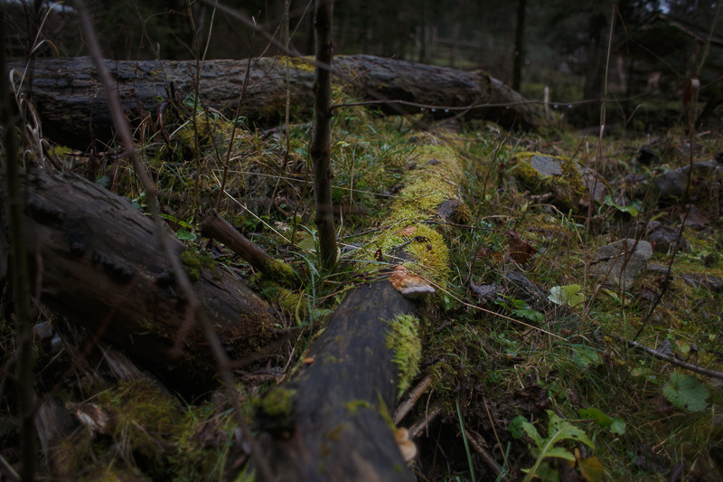 Ukraine. Precarpathian. Головна