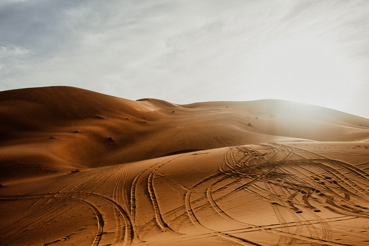 Sahara desert. Головна