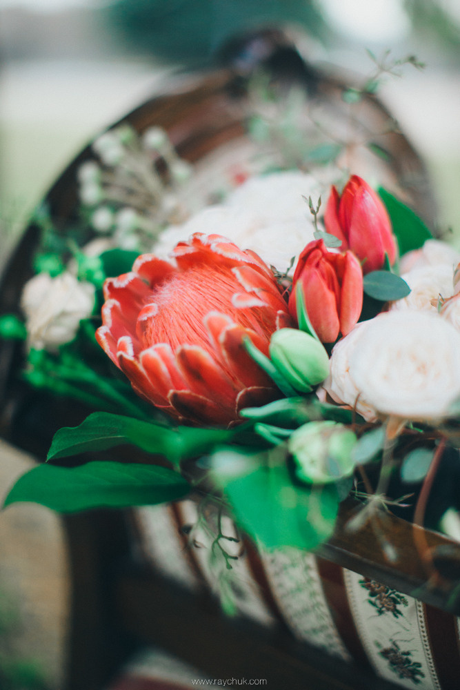 Dark elegance.Portrait. Головна