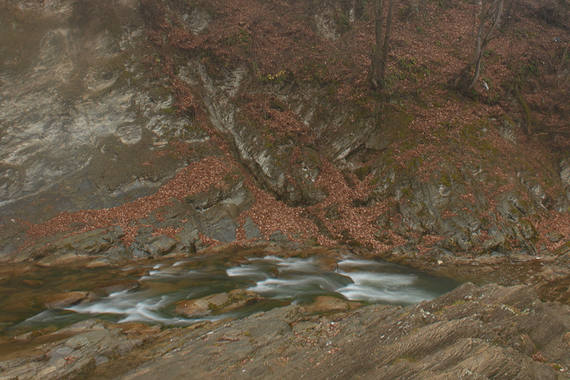 Ukraine. Precarpathian. Головна