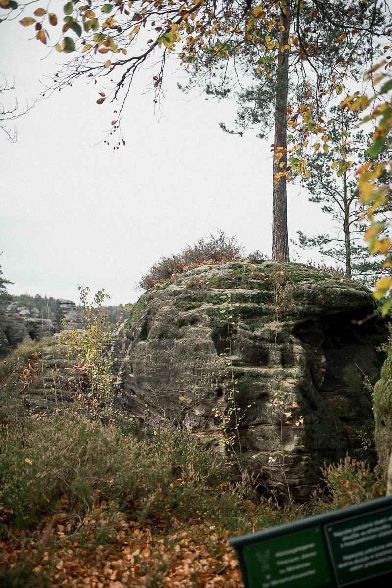 Germany. Lohmen. Головна