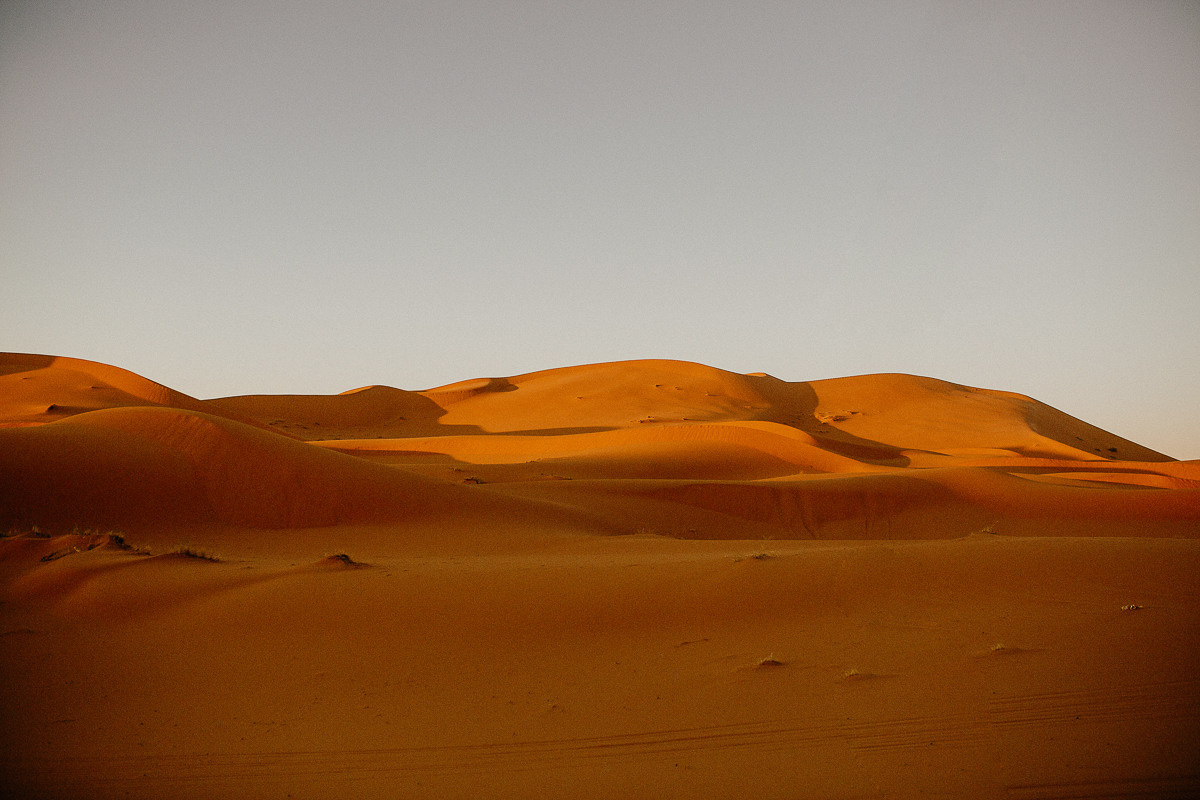 Sahara desert. Головна