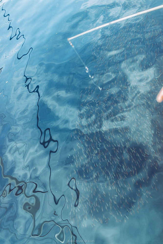 Тurkey. Marmaris. Головна