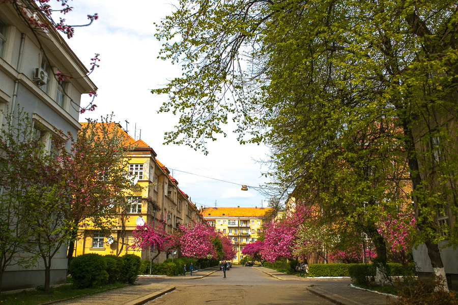 Ukraine. Uzhgorod. Головна