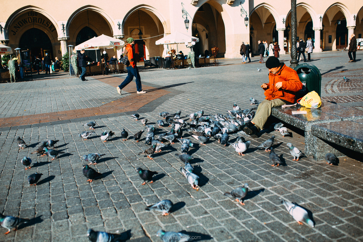 Poland. Krakow. Головна