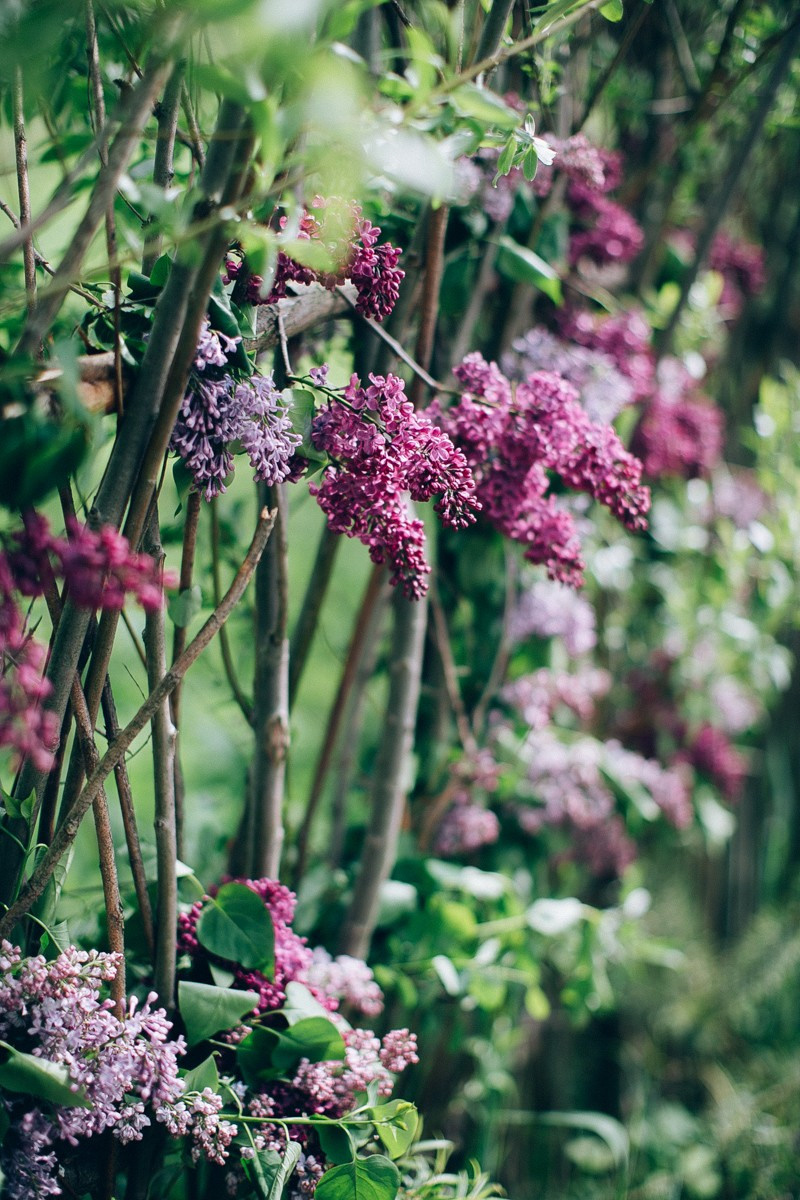 Frida. Головна