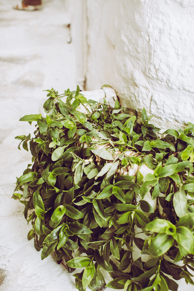 Тurkey. Marmaris. Головна