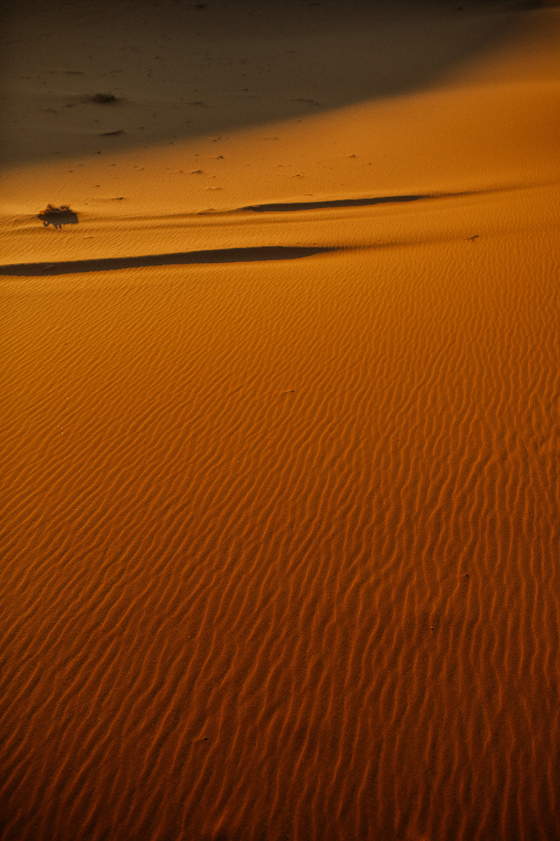 Sahara desert. Головна