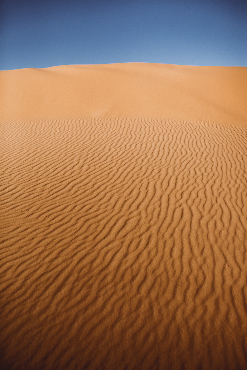 Sahara Desert. Головна