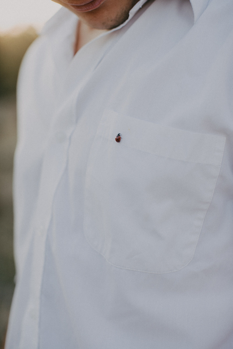 Яна і Ілля. Головна