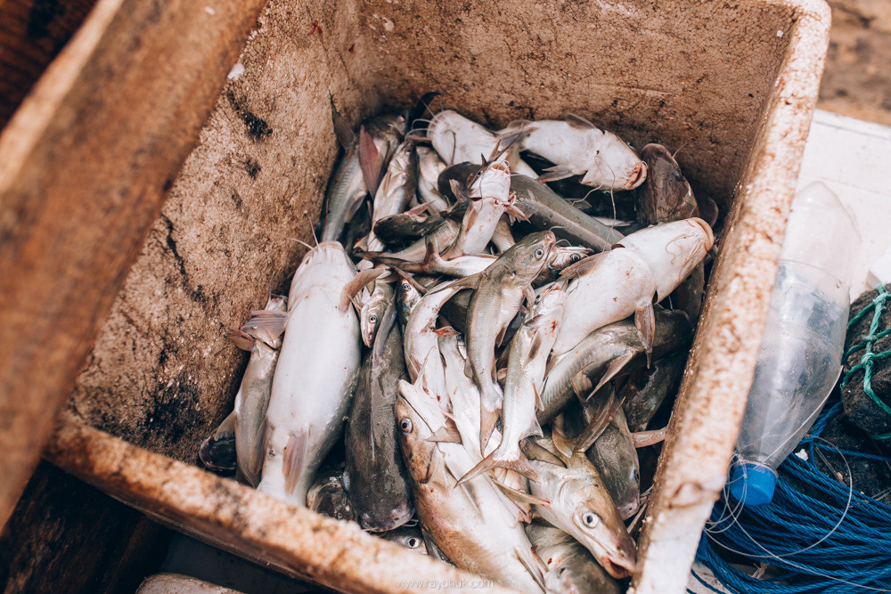 Sri Lanka. Головна