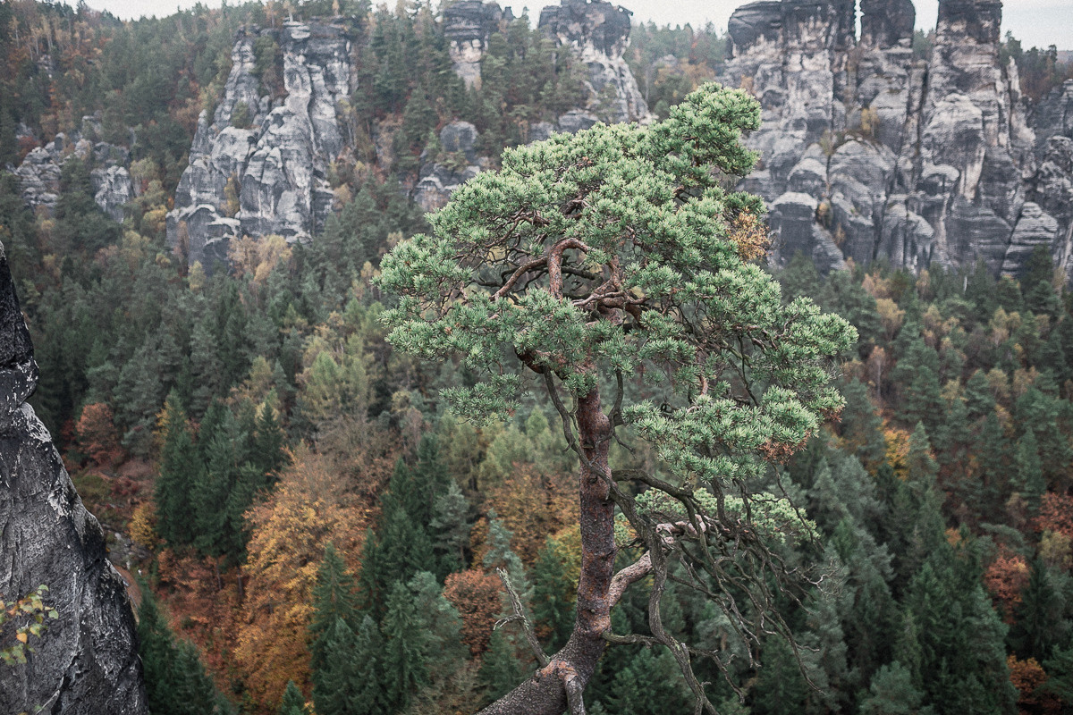 Germany. Lohmen. Головна