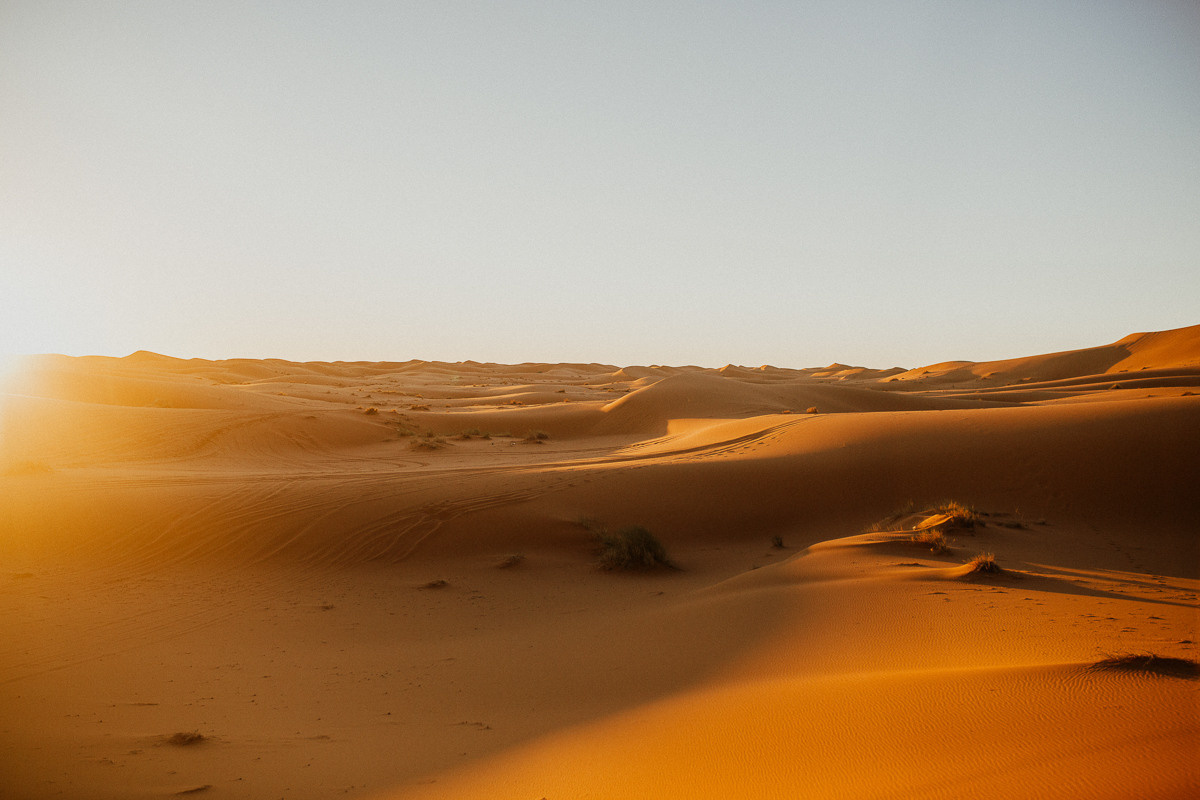 Sahara desert. Головна