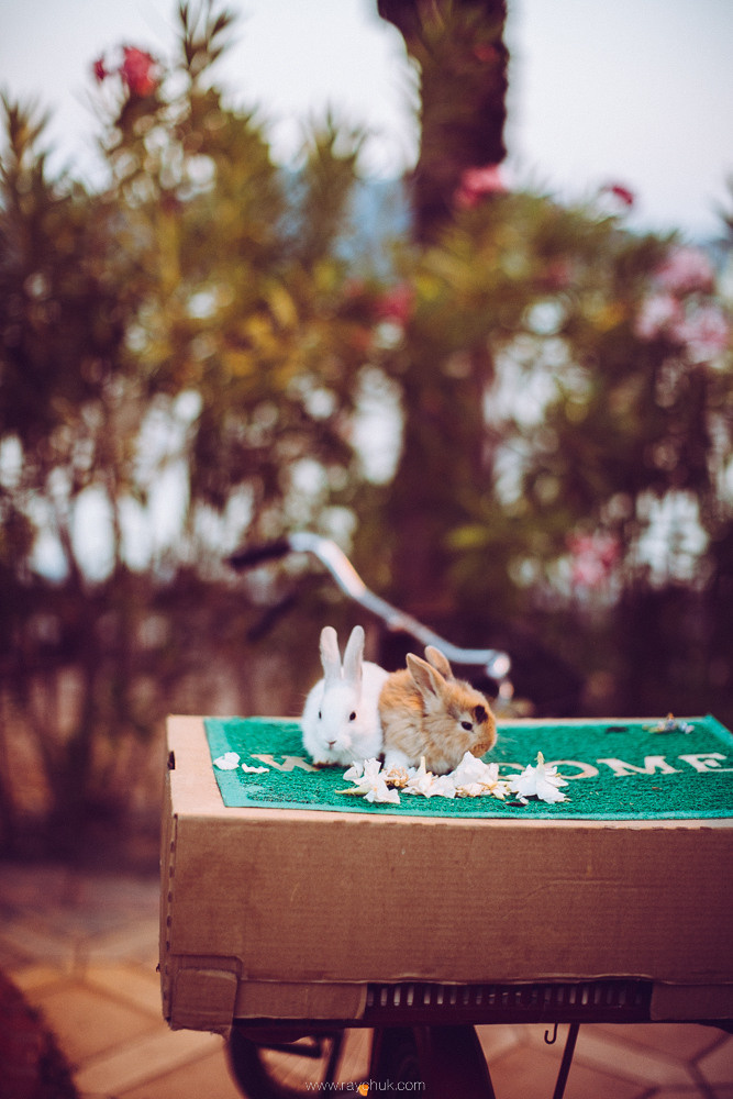 Тurkey. Marmaris. Головна