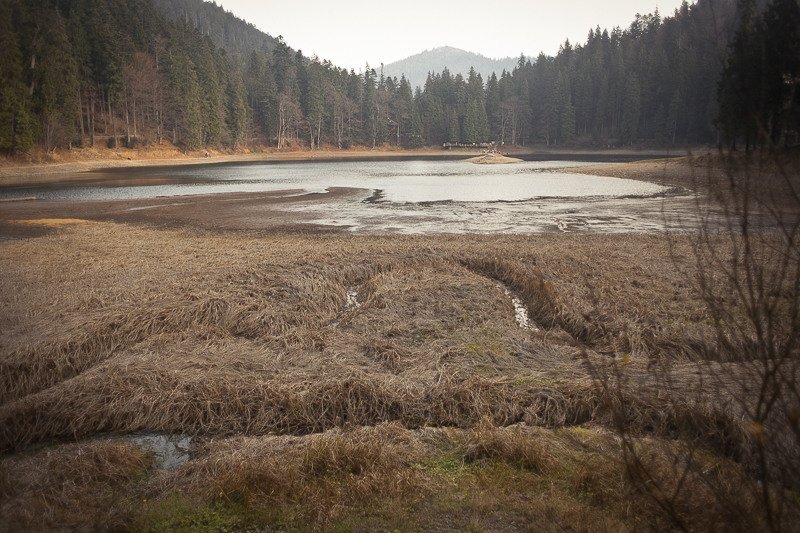 Ukraine. Sinevіr. Головна