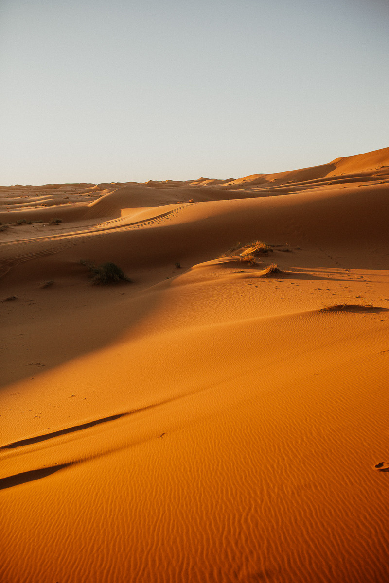 Sahara desert. Головна