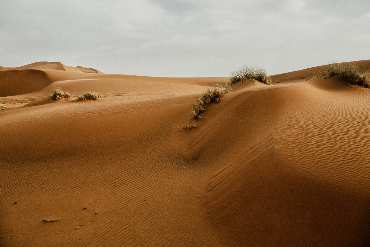Sahara desert. Головна
