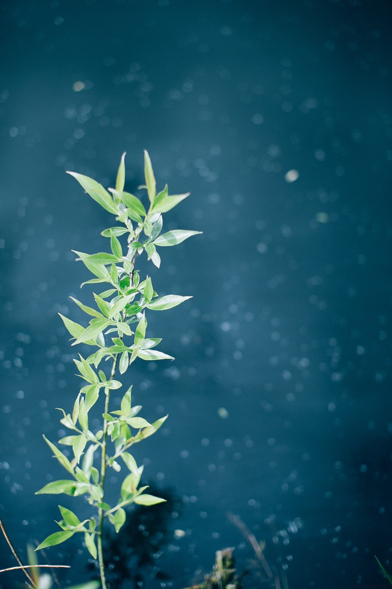 Frida. Головна