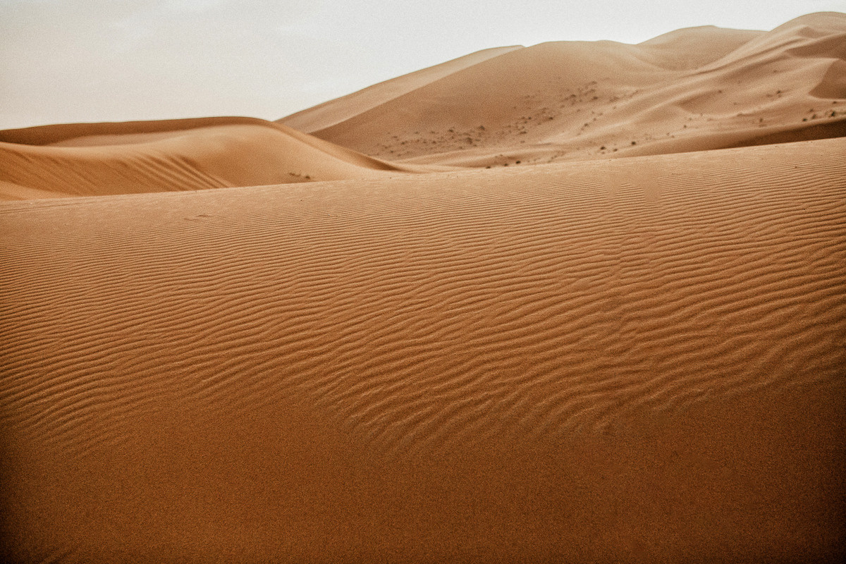 Sahara desert. Головна