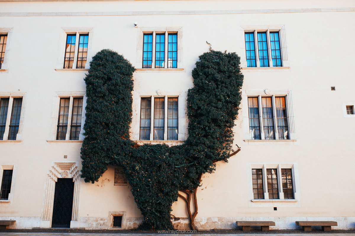 Poland. Krakow. Головна