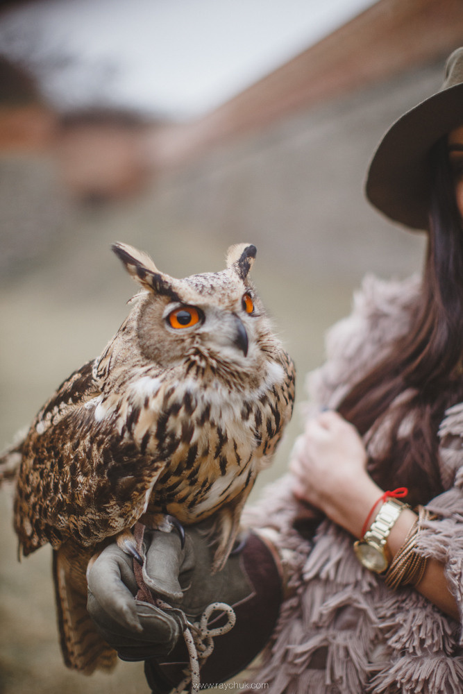 Spring is coming soon. Головна