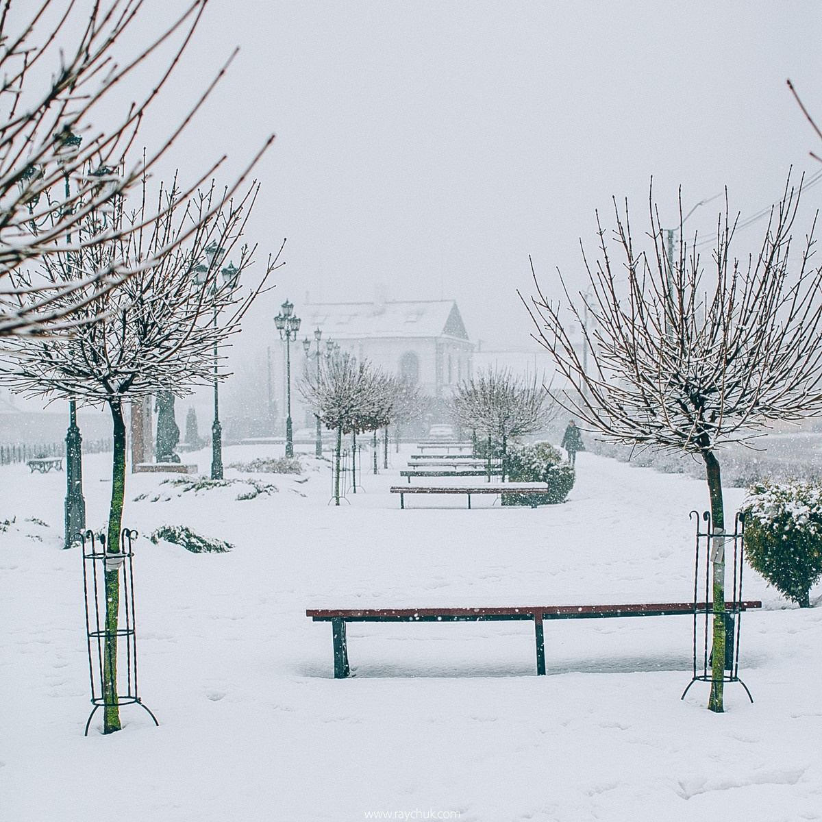 Report №8. Головна